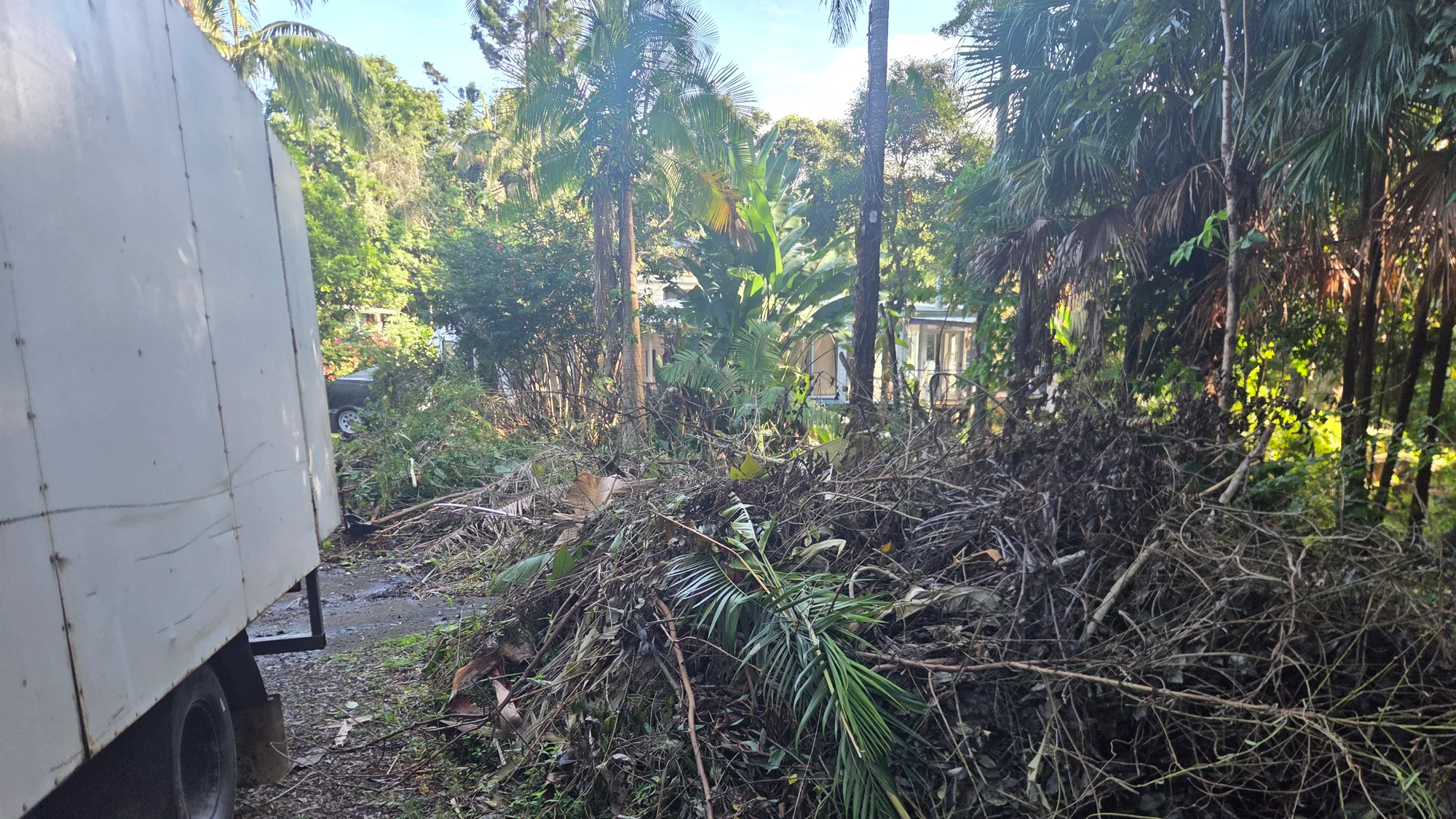 Green waste pile loaded onto rubbish removal truck